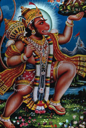  - &copy; - All uses and rights reserved by Ducatez - www.ducatez.com