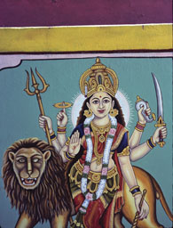  - &copy; - All uses and rights reserved by Ducatez - www.ducatez.com