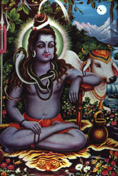  - &copy; - All uses and rights reserved by Ducatez - www.ducatez.com