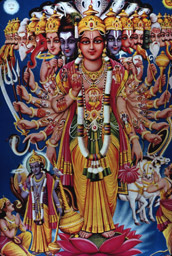  - &copy; - All uses and rights reserved by Ducatez - www.ducatez.com