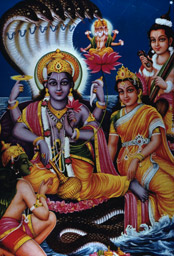  - &copy; - All uses and rights reserved by Ducatez - www.ducatez.com