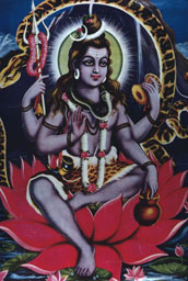  - &copy; - All uses and rights reserved by Ducatez - www.ducatez.com