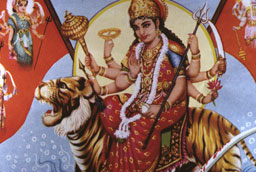  - &copy; - All uses and rights reserved by Ducatez - www.ducatez.com