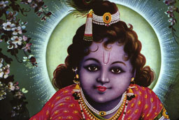  - &copy; - All uses and rights reserved by Ducatez - www.ducatez.com