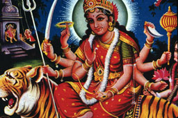  - &copy; - All uses and rights reserved by Ducatez - www.ducatez.com