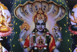  - &copy; - All uses and rights reserved by Ducatez - www.ducatez.com