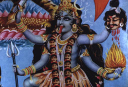  - &copy; - All uses and rights reserved by Ducatez - www.ducatez.com