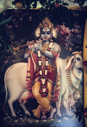  - &copy; - All uses and rights reserved by Ducatez - www.ducatez.com