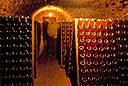 Cave &agrave; vin de Champagne par Jean-Pierre Ducatez - Toute utilisation et droit r&eacute;serv&eacute;s par &copy; Phototh&egrave;que Ducatez
