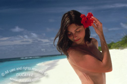 Seychelles - Beaut&eacute;